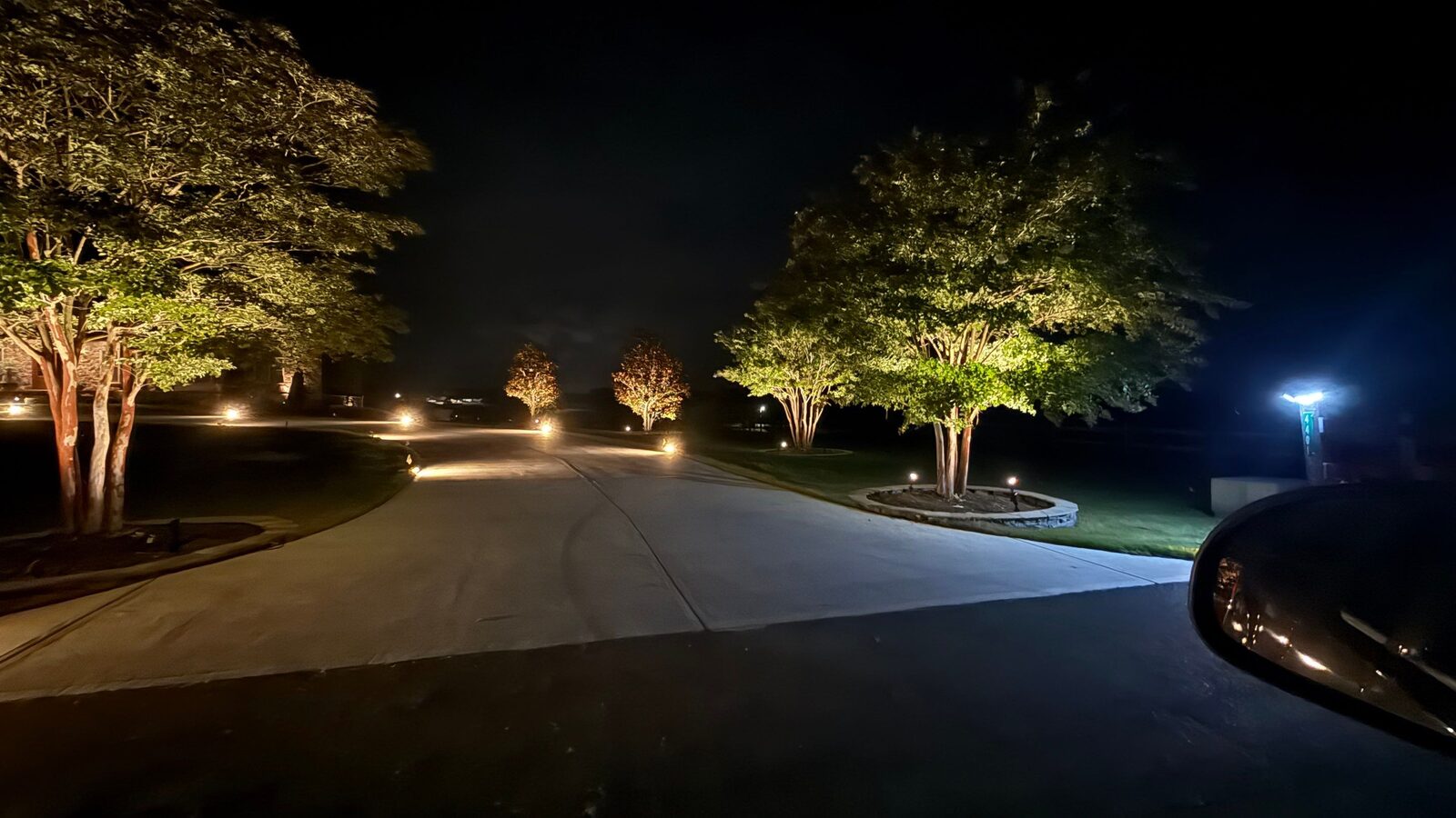 Driveway lined with landscape lighting and uplit trees at night